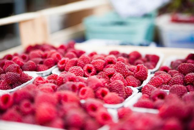 Discover Fresh Finds at Walker MN Farmers Market